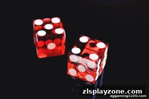 AG真人 zlsplayzone